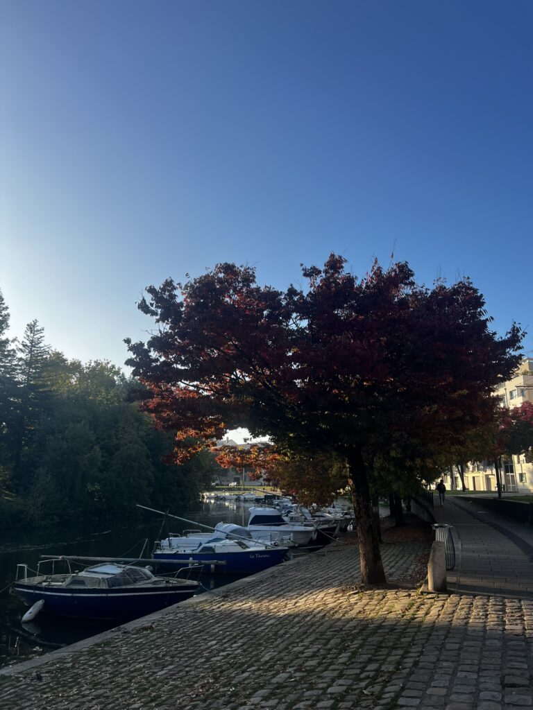 Bords de l'Erdre - Notaire à Nantes